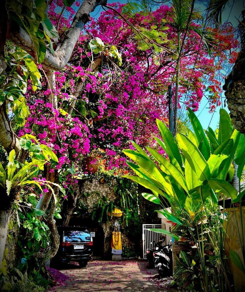 Exquisite Private Villa — Villa Sekala, Sanur, Se Bali Eksteriør bilde